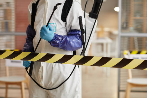 Professional Sewage Cleanup technician working in Walthill, NE